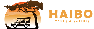 Haibo Africa Tours